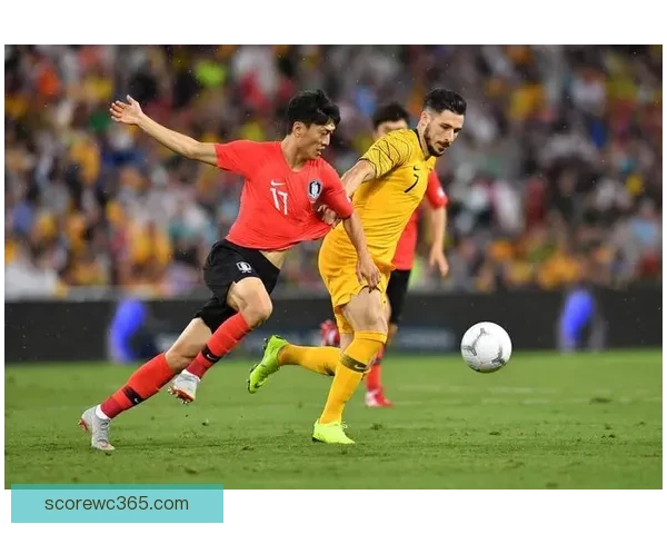 世界杯赛事全解析与投注技巧指南助你精准掌握胜负走势